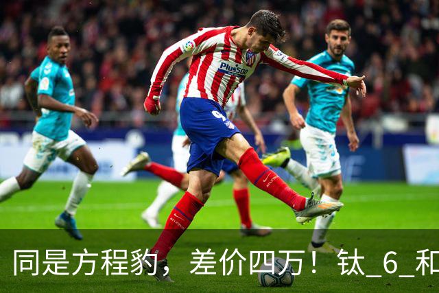 同是方程豹，差价四万！钛 6 和钛 7，到底贵在哪？